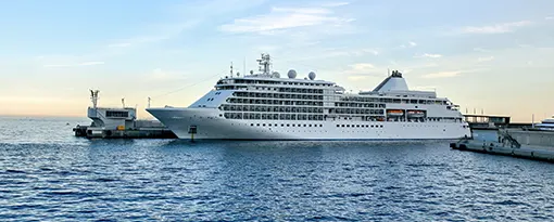 Cruises