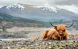 Scotland travel destinations